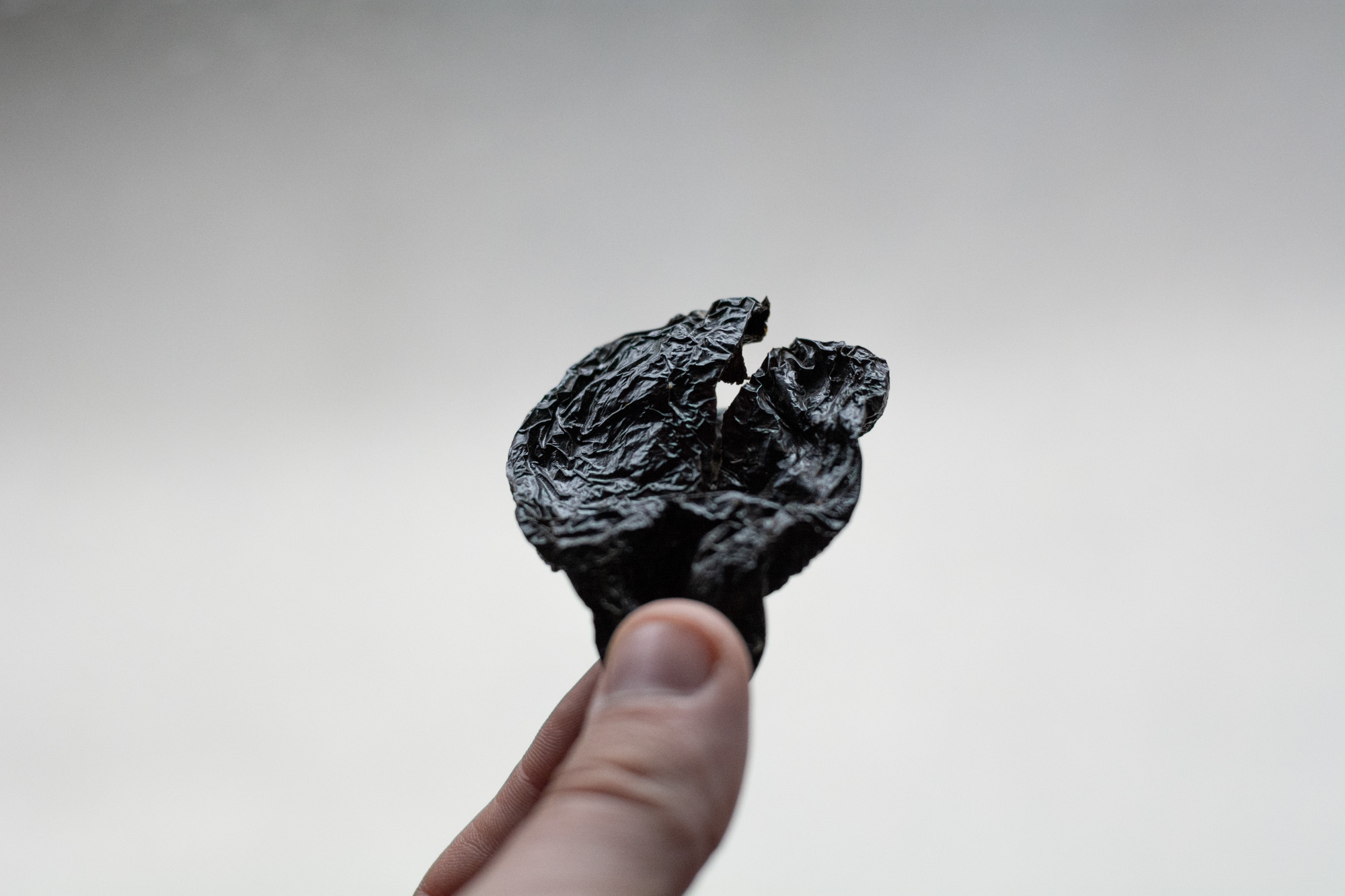 Captain’s Curse - Afbeelding 3